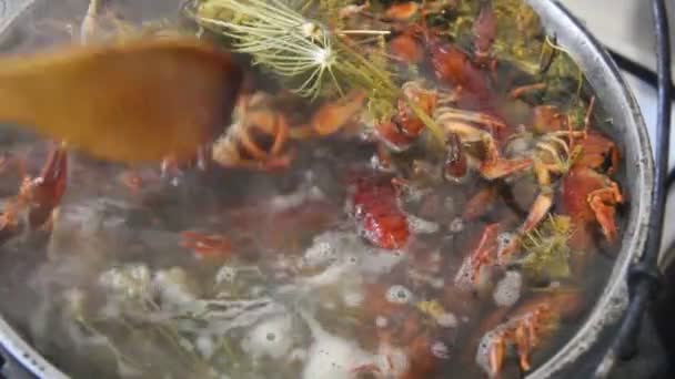 小龙虾在锅里煮 用刺和盐煮小龙虾 — 图库视频影像