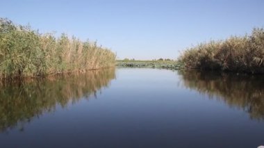 Kanal üzerinden teknenin hareket sırasında filme. Kanal bankalar sazlık ile fazla gelişmiş