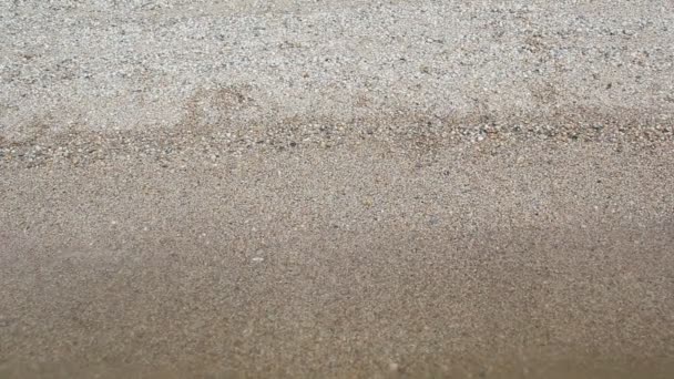 De petites vagues ont roulé sur le rivage sablonneux. Le sable se compose de coquilles cassées 