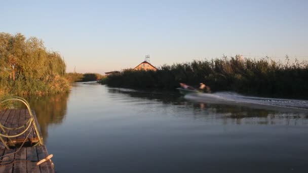 Channel Illuminated Setting Sun Banks Overgrown Reeds — Stock Video