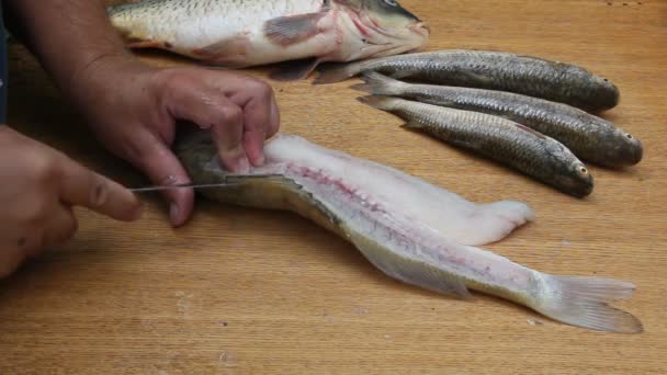 Limpeza Corte Peixes Condições Insalubres Moscas Vespas Sentadas Peixe — Vídeo de Stock