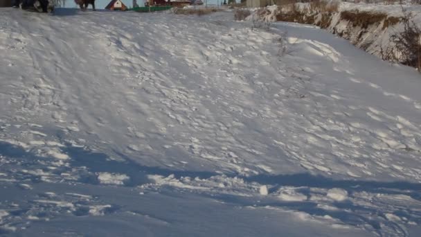 Zonnige Winterdag Een Klein Meisje Paardrijden Een Sneeuw Dia — Stockvideo