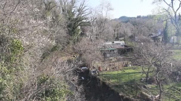 Вид Вікна Весняні Дерева — стокове відео