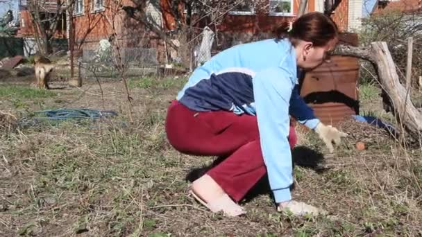 Жінка Працює Саду Видаляючи Траву Землі Фермер Видаляє Бур Яни — стокове відео