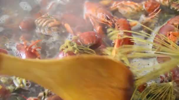 Krebse Kochen Einem Topf Garen Von Krebsen Mit Dill Und — Stockvideo