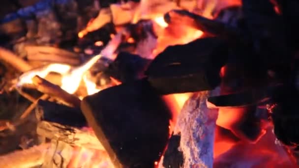 Brand Met Brandhout Nachts Branden — Stockvideo
