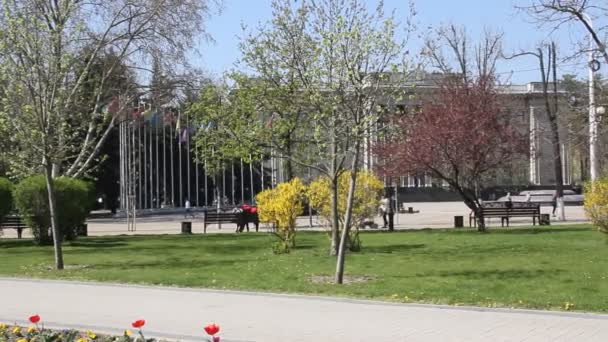 Krasnodar Russland April 2018 Wunderschöne Frühlingslandschaft Stadtpark Katharinenplatz Ist Nach — Stockvideo