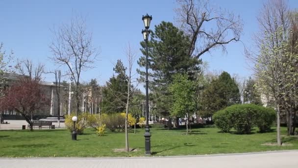 Krasnodar Russland April 2018 Wunderschöne Frühlingslandschaft Stadtpark Katharinenplatz Ist Nach — Stockvideo