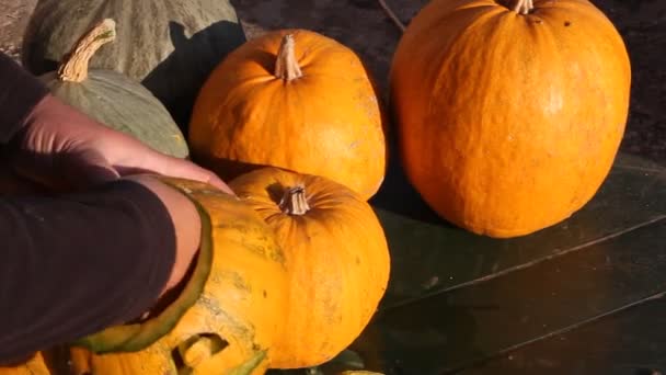 Hombre Corta Una Lámpara Jack Calabaza Lámpara Está Hecha Para — Vídeo de stock