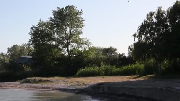 Abend Auf Dem See Bäume Und Schilf Beleuchtet Von Der — Stockvideo