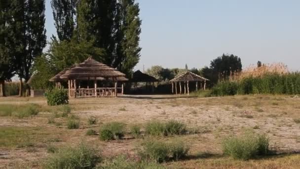 Gazebos Lago Gazebo Feito Madeira Telhado Coberto Com Juncos — Vídeo de Stock