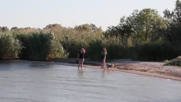 湖の夜 水の上を飛んで砂イワツバメ 大人と子供が海岸に沿って歩く — ストック動画