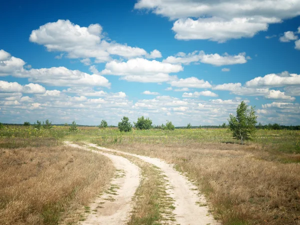 Road Summer Meadow — Stock Photo, Image