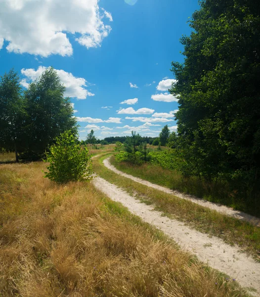 Road Field Forest — Stock Photo, Image