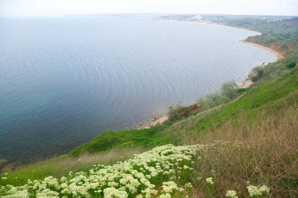 Sea View High Shore — Stock Photo, Image