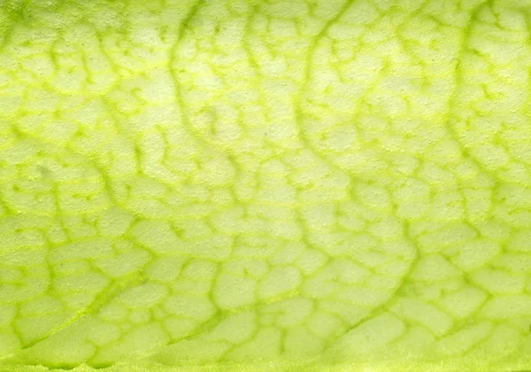 Přírodní Textura Hrášek Peel Macro Foto — Stock fotografie