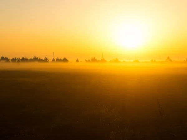 Sonnenaufgang Über Dem Herbstfeld — Stockfoto