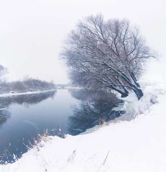 雪岸冰封的冬日河流全景照片 — 图库照片