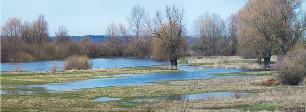 Déversement Printanier Sur Une Prairie Verte Près Rivière — Photo