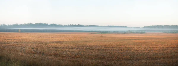 Fog over the autumn field — Stock Photo, Image