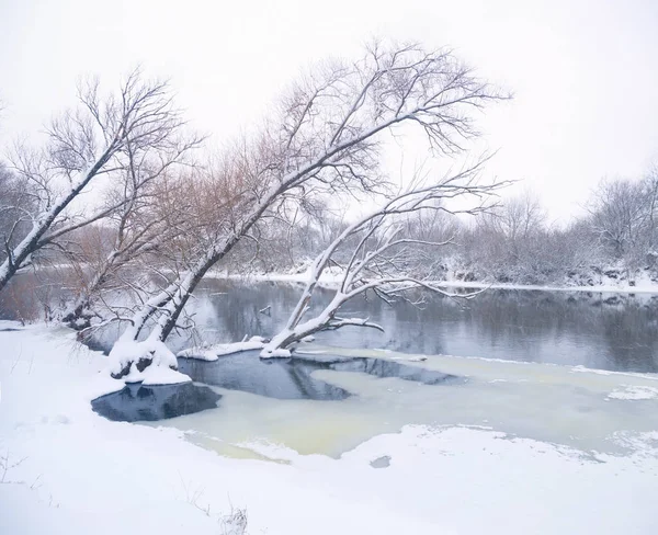 Winter riwer — Stockfoto