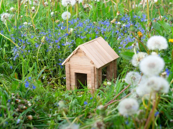 Eco house — Stock Photo, Image