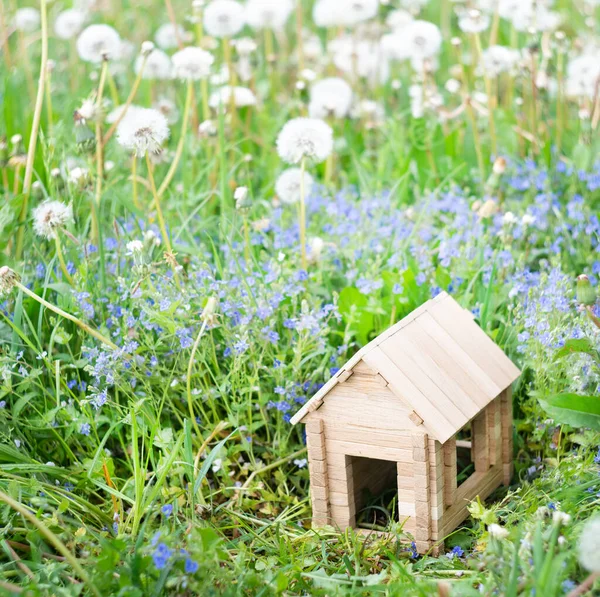 Toy Wooden House Grass — Stock Photo, Image