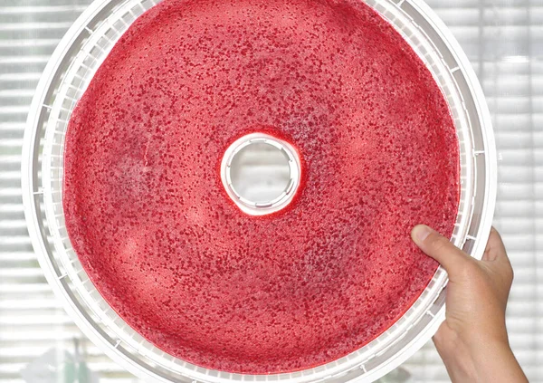 Hausgemachte Obstpaste Der Prozess Der Herstellung Von Hausgemachten Süßigkeiten — Stockfoto