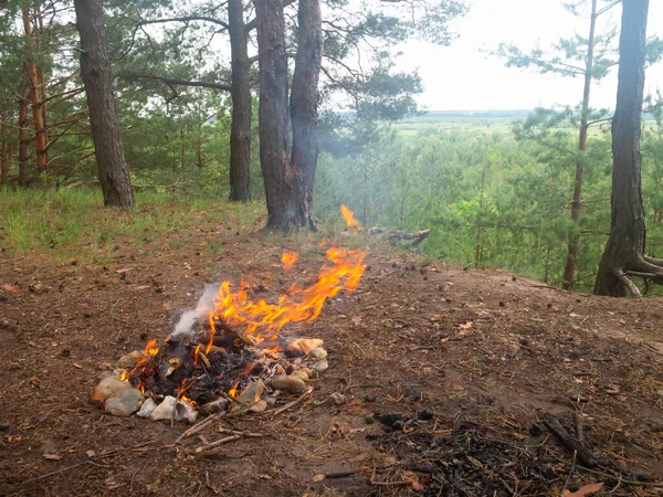 burning camp fire.fire place in the forest