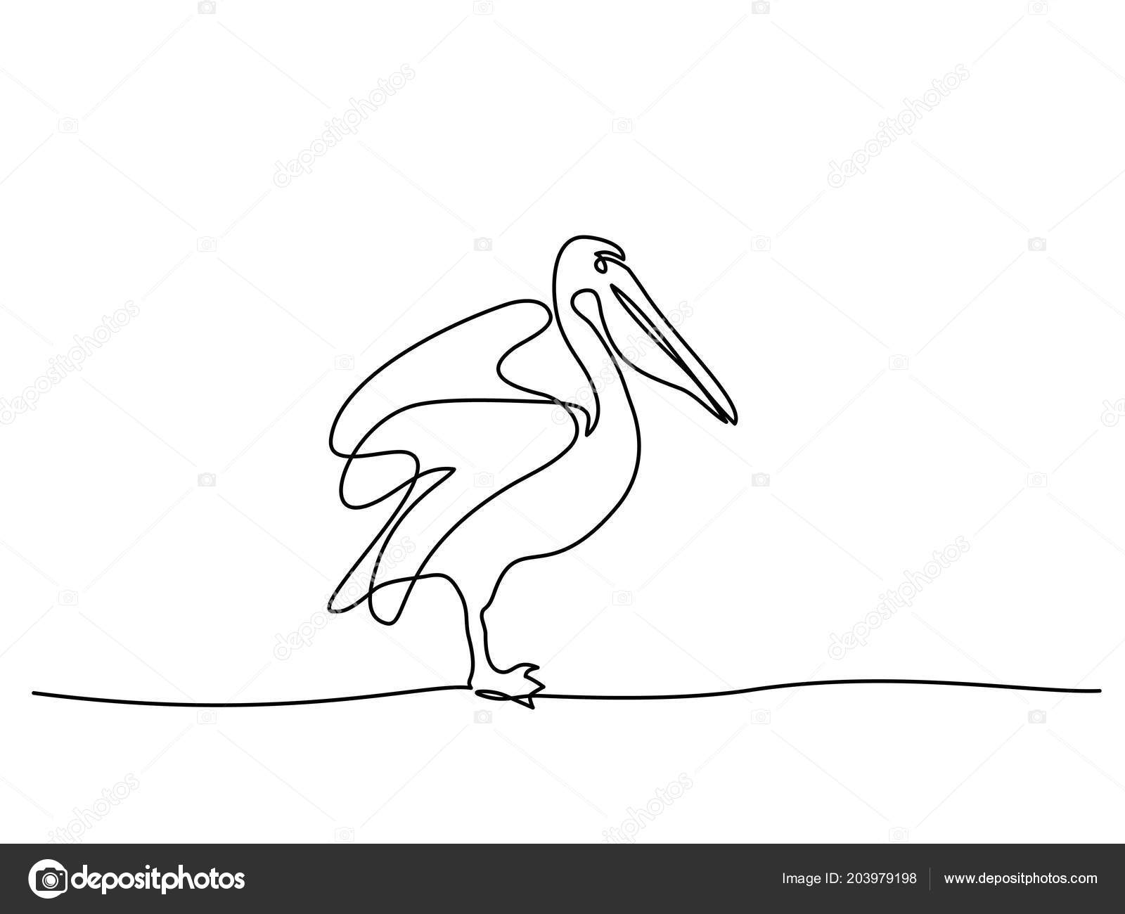 Пеликан одной линией