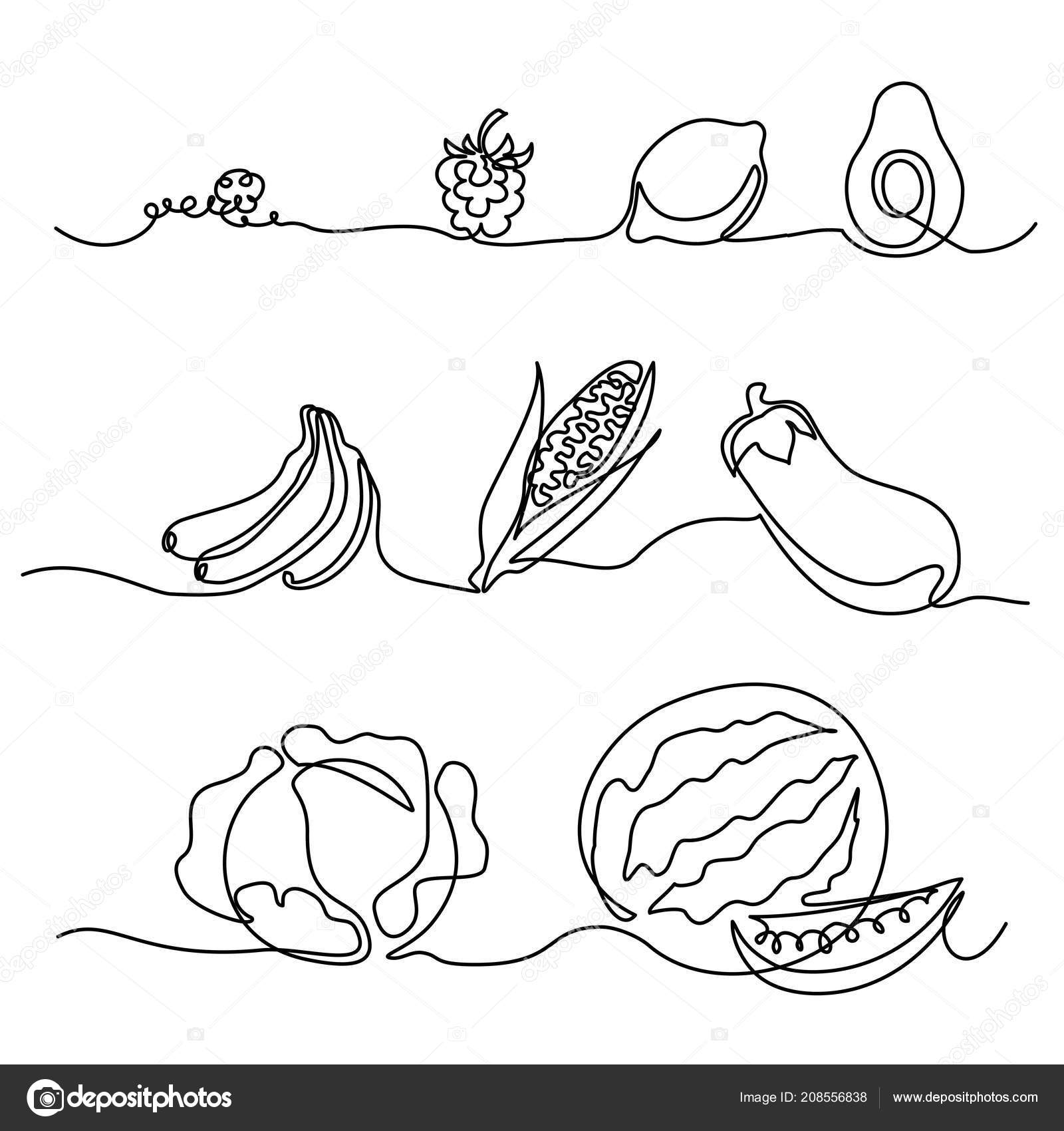 野菜 線画ストックベクター ロイヤリティフリー野菜 線画イラスト Depositphotos