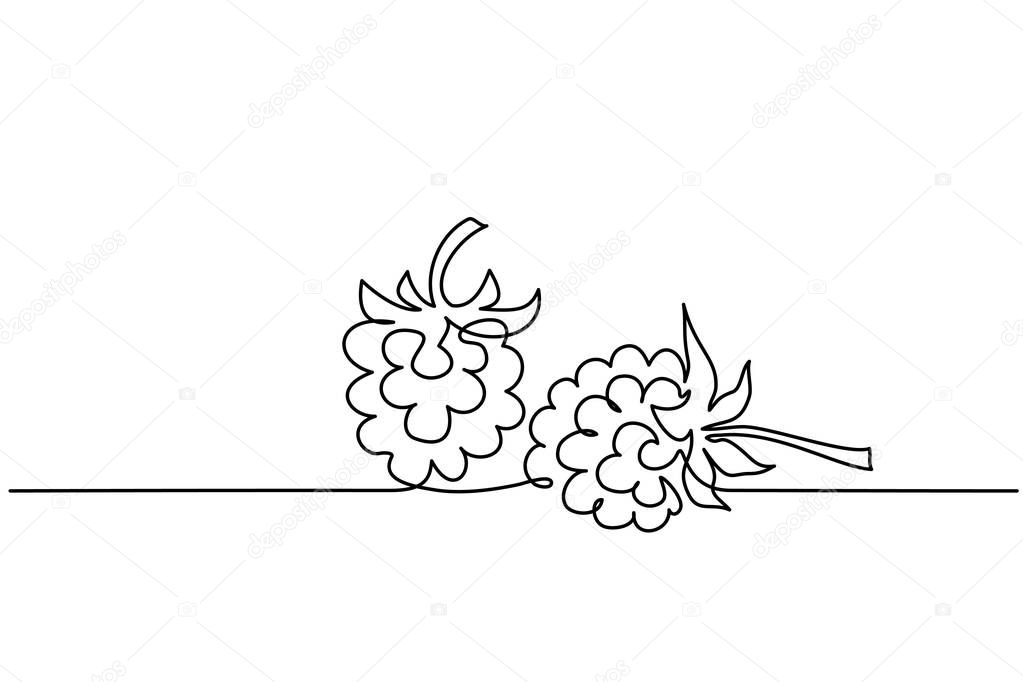 Continuous one line draw Raspberry berry fruit