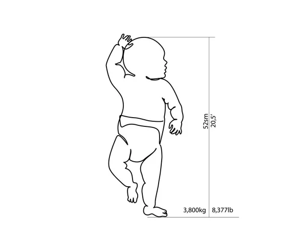 신장과 체중 측정을 위한 완전 성장 아기 — 스톡 벡터