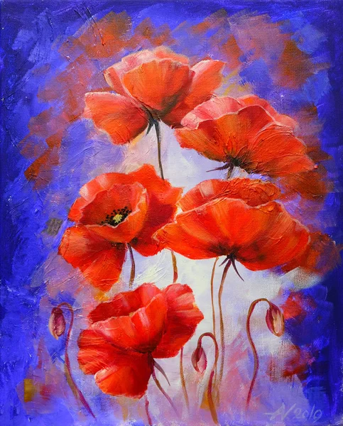Poppies in the morning, oil painting on canvas — Stock Photo, Image