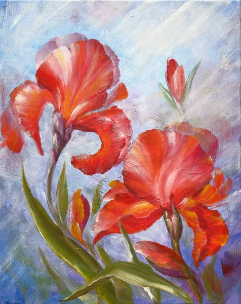 Lindas flores íris. Pintura a óleo sobre tela — Fotografia de Stock