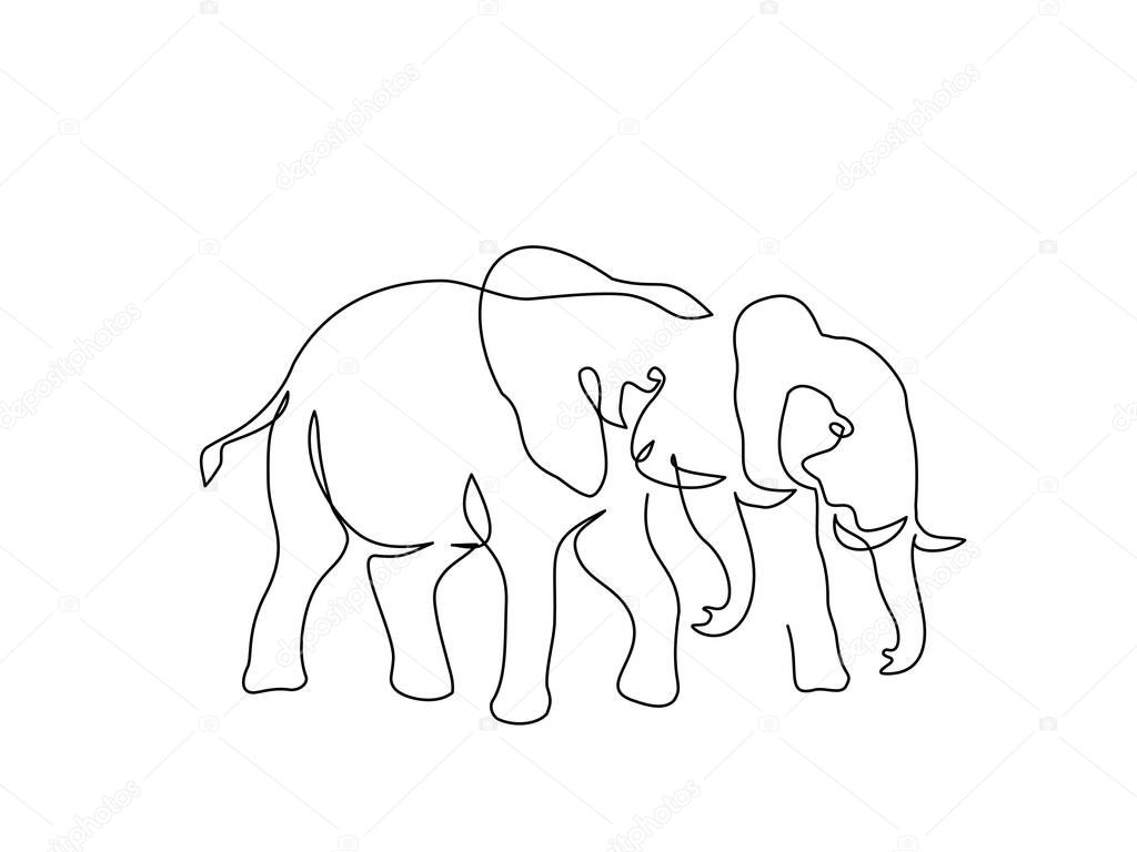 Couple elephants walking. Continuous one line art drawing vector illustration isolated on white background.