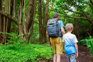 arkadan görünüşü aile iki baba ve oğul, güzel tropikal ormanda IAO valley state park maui Adası, hawaii, Aile aktif bir tatil kavramı, hiking