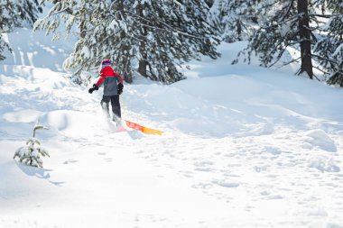güzel manzara tepeye kızak çekme ve kış eğlence küçük çocuk faaliyetleri ormandaki kış eğlence kavramı