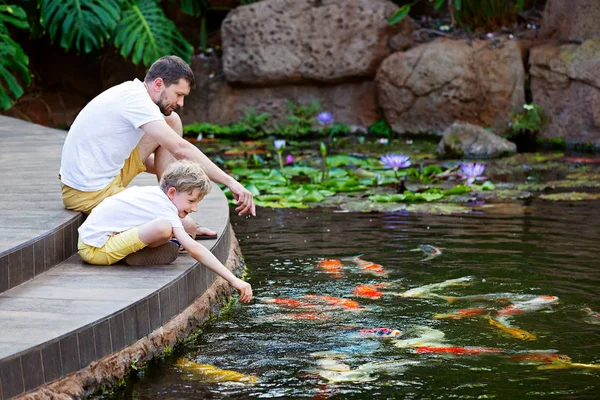 Family Two Father His Son Feeding Koi Carp Fish Beautiful — Stock Photo, Image