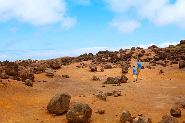两个家庭 父亲和儿子 在凯希卡韦洛徒步旅行 美丽的岩石花园在拉奈岛 夏威夷 家庭积极度假的概念 — 图库照片