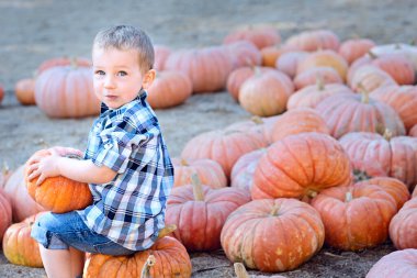 Tatlı pozitif çocuk balkabağı tutuyor balkabağı tarlasında sonbahar aktivitelerinin keyfini çıkarıyor Cadılar bayramı ve sonbahar zamanı konsepti, sağda kopya alanı