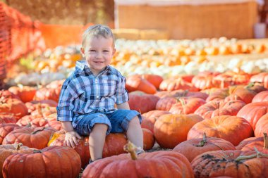 Tatlı pozitif çocuk balkabağı tutuyor balkabağı tarlasında sonbahar aktivitelerinin keyfini çıkarıyor Cadılar bayramı ve sonbahar zamanı konsepti, sağda kopya alanı