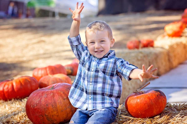 カボチャのパッチで秋のアクティビティを楽しむかわいいアクティブな男の子ハロウィーンと秋の時間のコンセプト — ストック写真