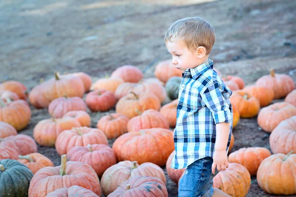 Schattig Positief Jongetje Genieten Van Herfst Activiteiten Pompoen Patch Halloween — Stockfoto