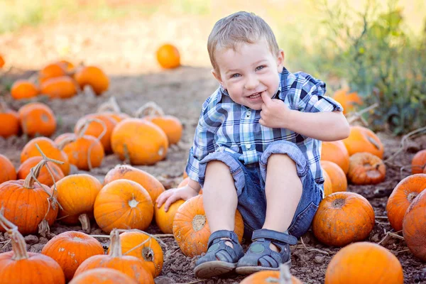 Carino Ragazzo Positivo Che Tiene Zucca Godendo Attività Autunnali Zucca — Foto Stock