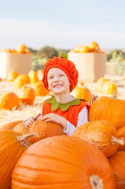 Cadılar Bayramı için balkabağı kostümü giyen tatlı, gülümseyen küçük çocuk balkabağı tarlasında eğleniyor ve sonbahar mevsimini kutluyor.