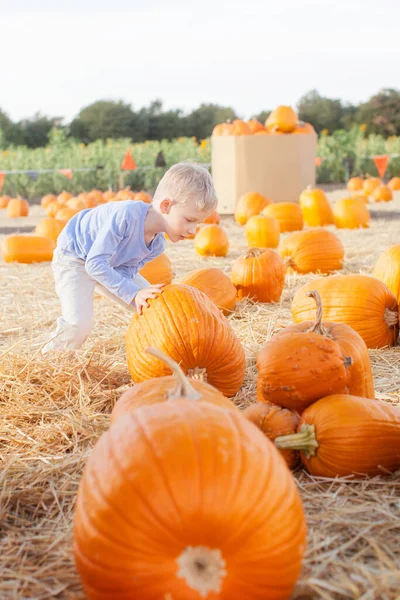 Positive Little Boy Rolling Huge Pumpkin Pumpkin Patch Fall Season — Stock Photo, Image