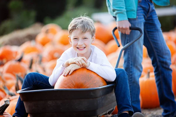 Lachende Positieve Jongen Zittend Een Kar Met Pompoen Pompoen Patch — Stockfoto