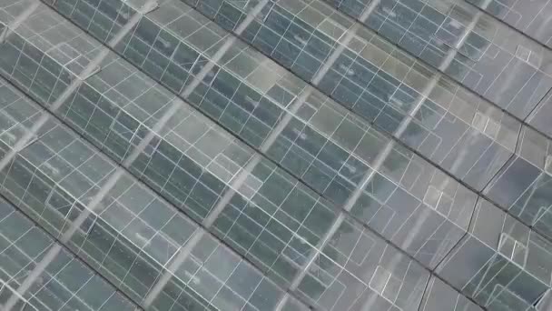カメラはガラスの屋根の上にあります ビューのフィールドを拡大すると カメラが動いて 複雑な全体の温室効果が目に見える — ストック動画