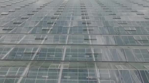 Camera Flies Glass Roof Hothouse Complex — Stock Video